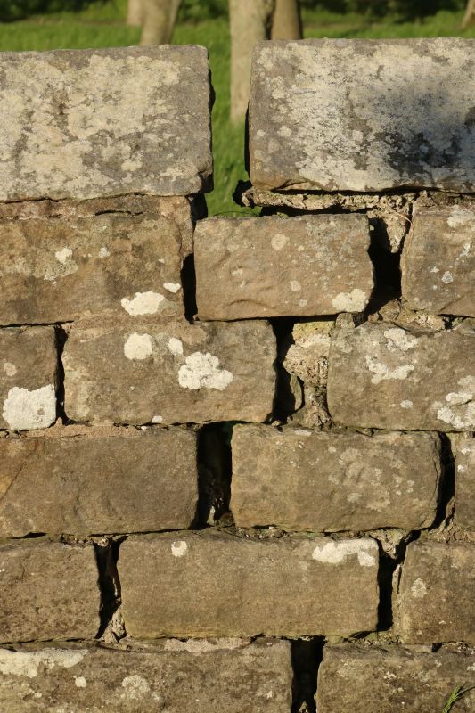 Rock Wall Repair in Douglasville, GA
